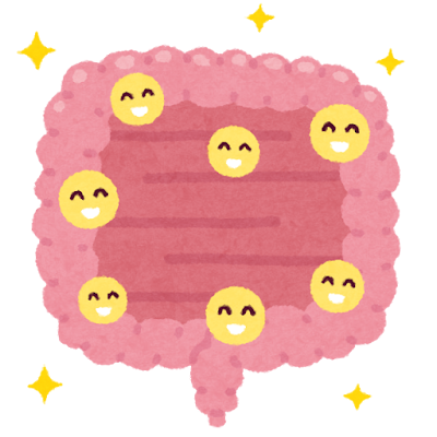 粘膜が整っている腸の図